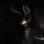 {ART/Oc/CETHA} 'The eternal darkness shall begin'