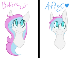 Finished Before and After of shimmer's haircut