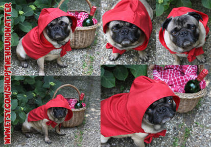 Little Red Riding Hood Cape for Dogs