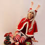 Christmas Bunny 4