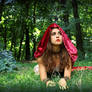 Red Ridding Hood