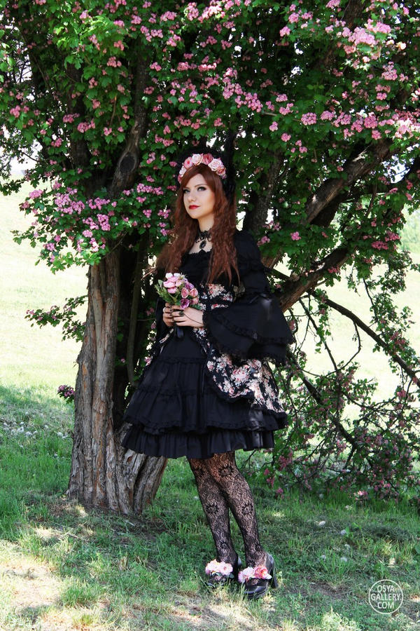 Classic Rose Lolita 5