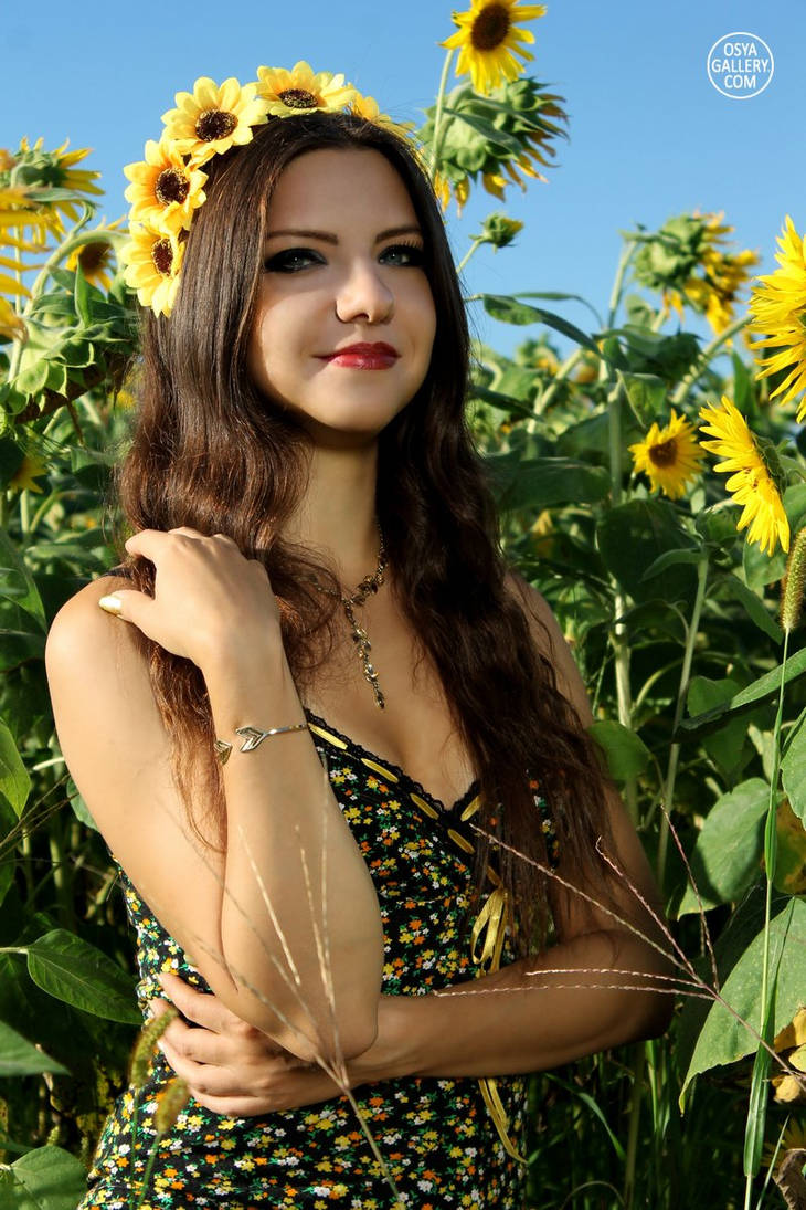 Sunflowers 2 by Enolla