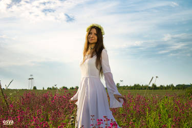 Elf in the Silene Viscaria fields 04