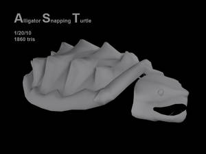 Alligator Snapping Turtle WIP