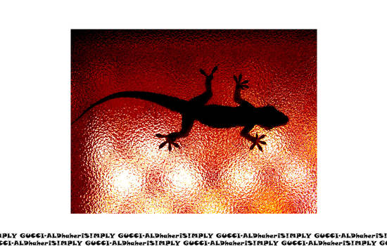 ::shadow of the lizard::