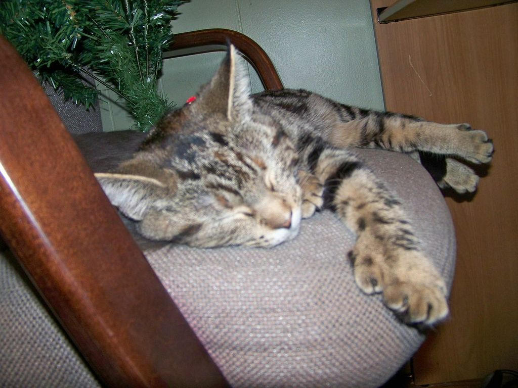 Phillip 2 by dreidan on DeviantArt