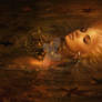 Ophelia's Fall