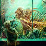 The Lionmaid Exhibit