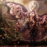 Madame Butterfly