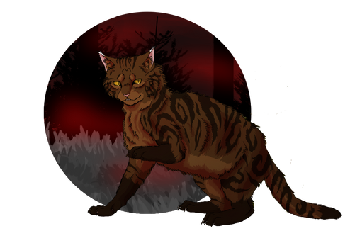 4. Tigerstar