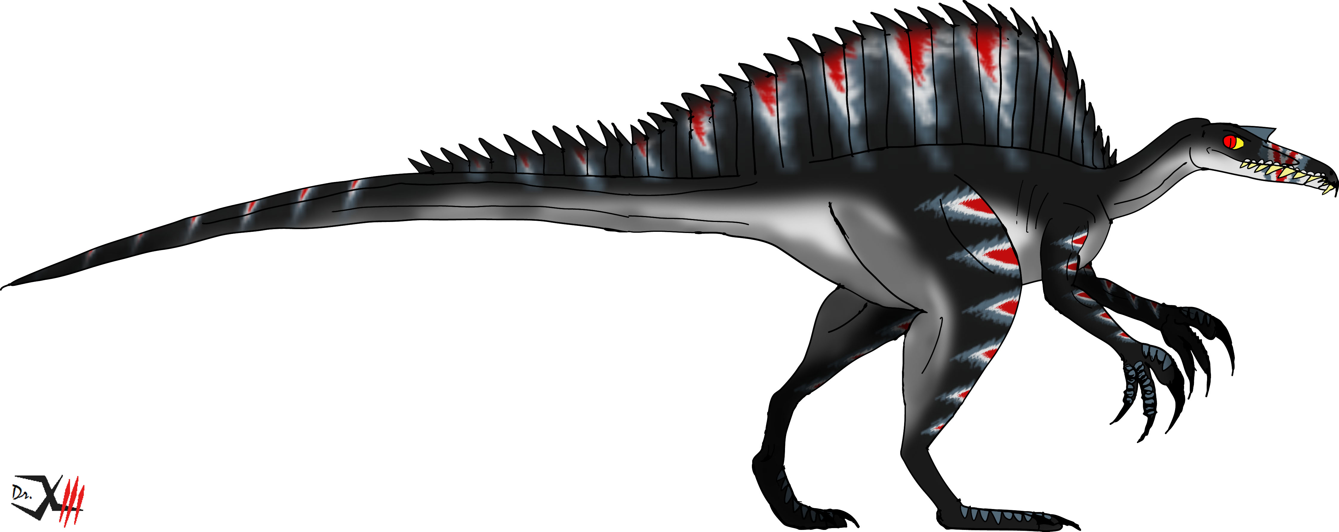 Omni-Spino 'Red Stripes'