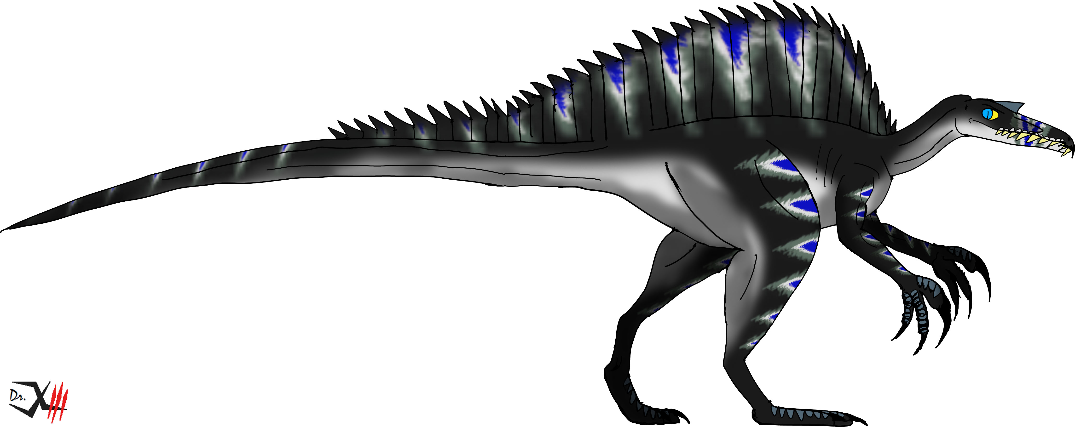 Omni-Spino 'Blue Stripes'