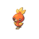 Torchic scratch