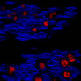 Monet water lilies in chromostereopsis