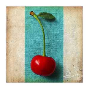 Seashore Cherry