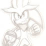 silvier the hedgehog