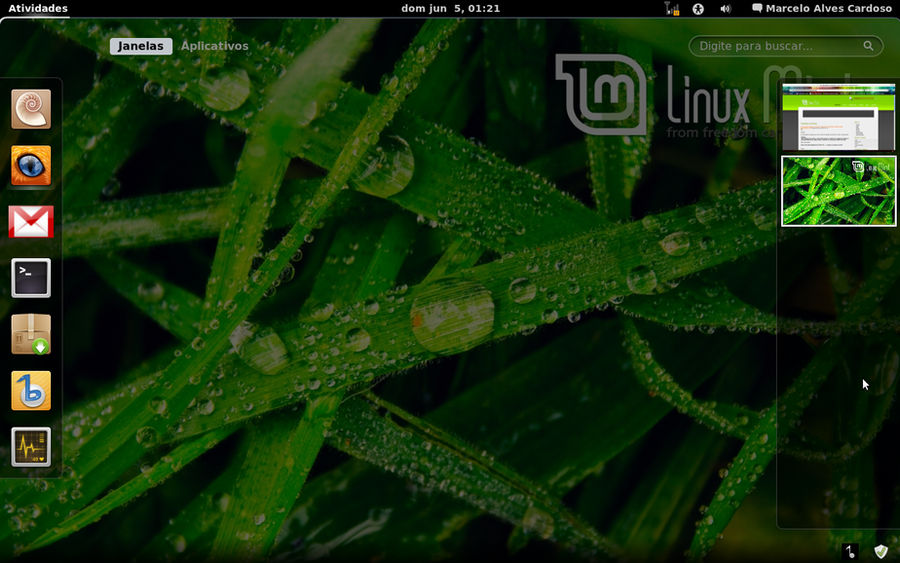 Gnome 3 in Linux Mint-5