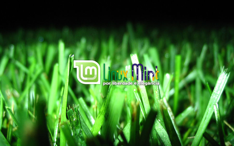To Linux Mint Brazil [d by malvescardoso