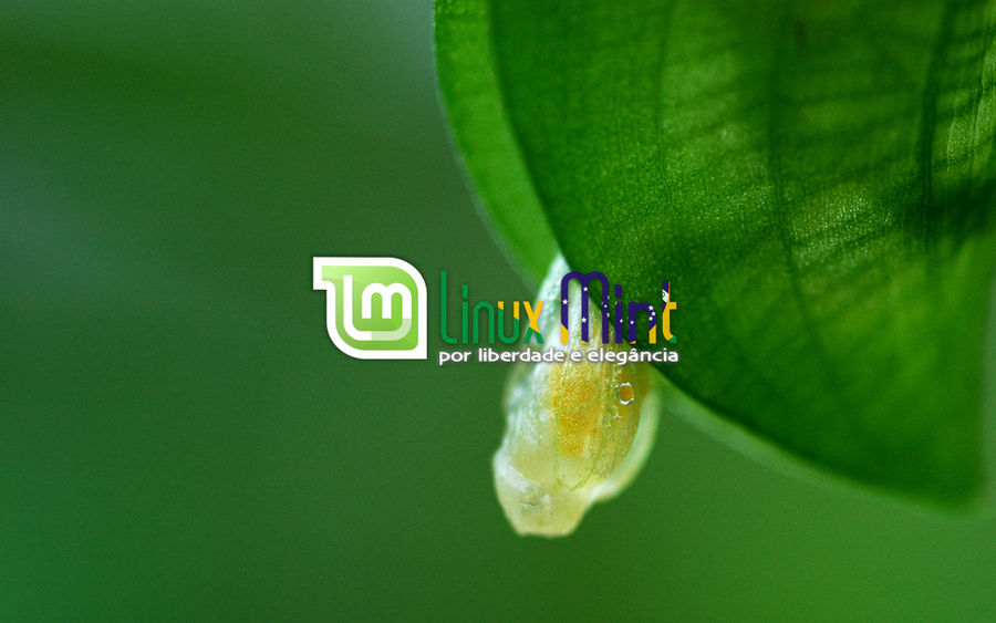To Linux Mint Brazil [e by malvescardoso