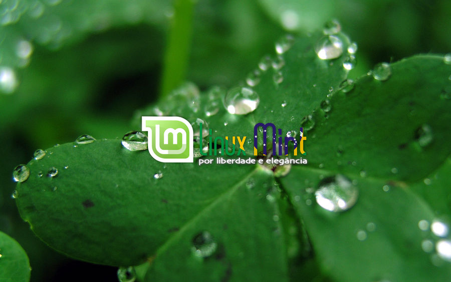 To Linux Mint Brazil [f by malvescardoso