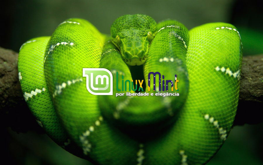 To Linux Mint Brazil [h