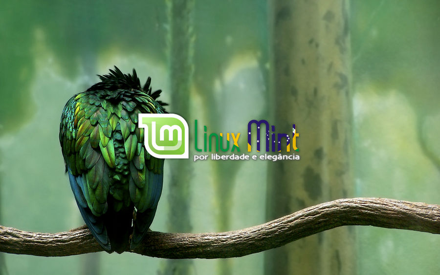 To Linux Mint Brazil [i by malvescardoso