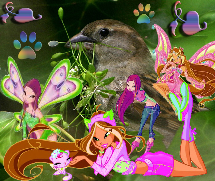 Roxy and Flora, Fairies of Nature and Animal