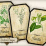 Printable Spice Labels