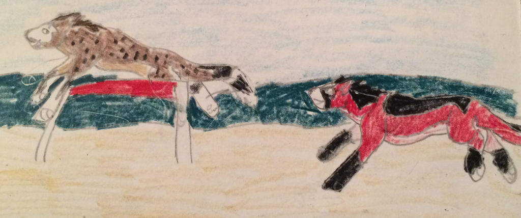 Deviantart Animal Jumping Show Jumping by JaywolfKip on DeviantArt