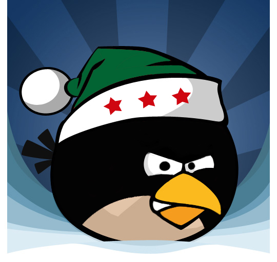 Rebel angry bird