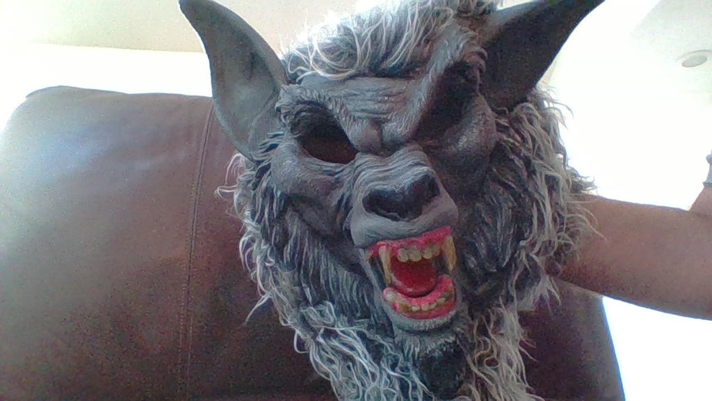 My werewolf mask!