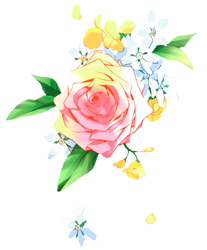 Flores [PNG Random] 1