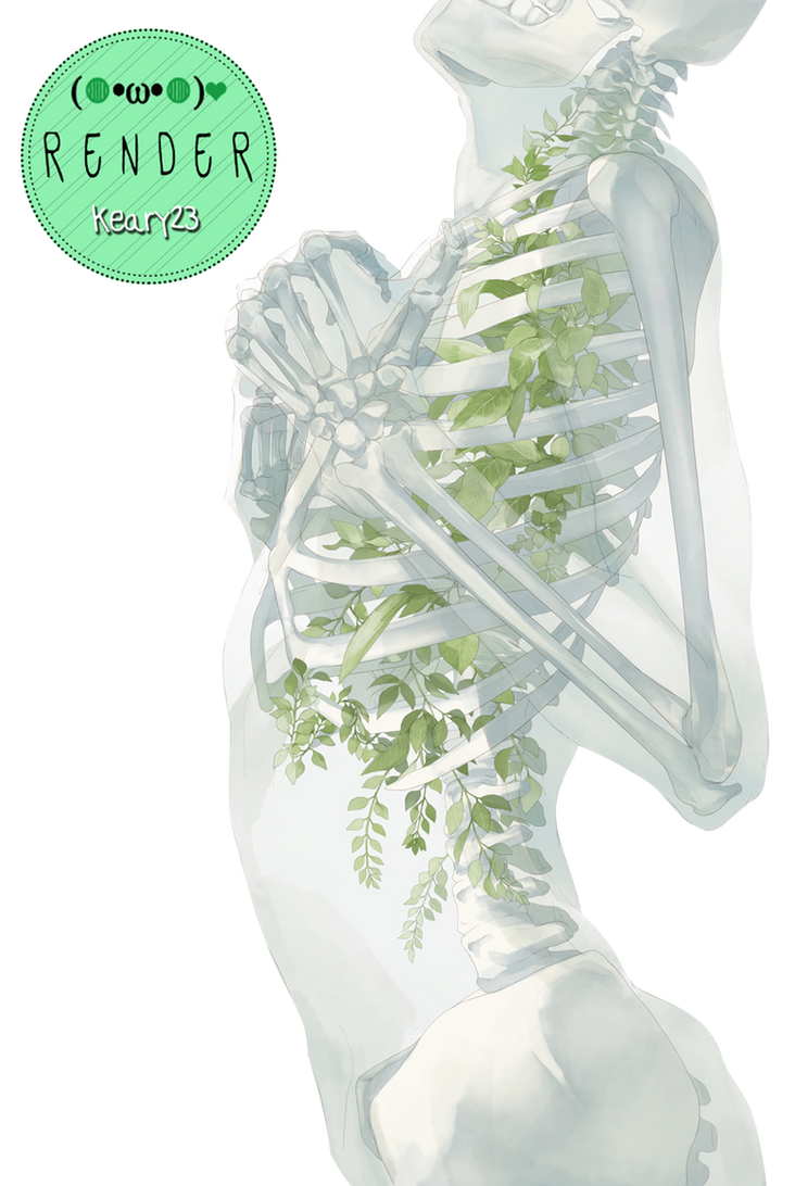 Render 41 - Beautiful Skeleton by Keary23 on DeviantArt