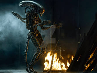 ALIEN ROMULUS POSTER 2024 HD by Andrewvm on DeviantArt