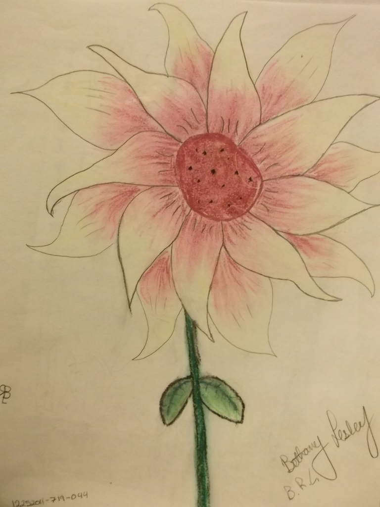 Anime Flower by FantasyArtist889 on DeviantArt Anime Flower by FantasyArtist889 on DeviantArt