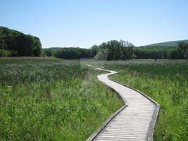 Trail Into The Distance