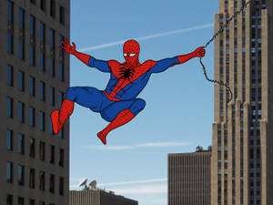 Friendly Neighborhood Web-Slinger