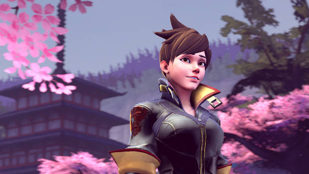 Cherry Blossom Tracer