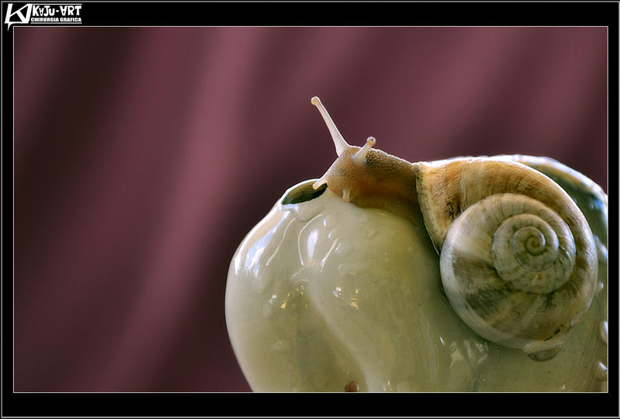 Lemme Lemme 01 by KaJuMANIA on DeviantArt