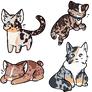 Cat adopts .:{CLOSED}:.