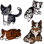 Cat adopts .:{Closed}:.