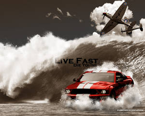 Live fast