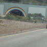 Rainbows in San Francicso