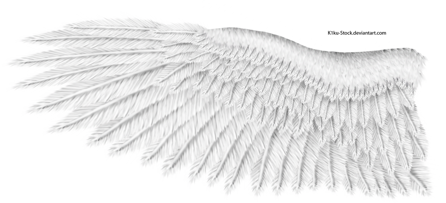 White Eagle Wing