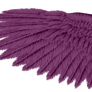 Violet Eagle Wing