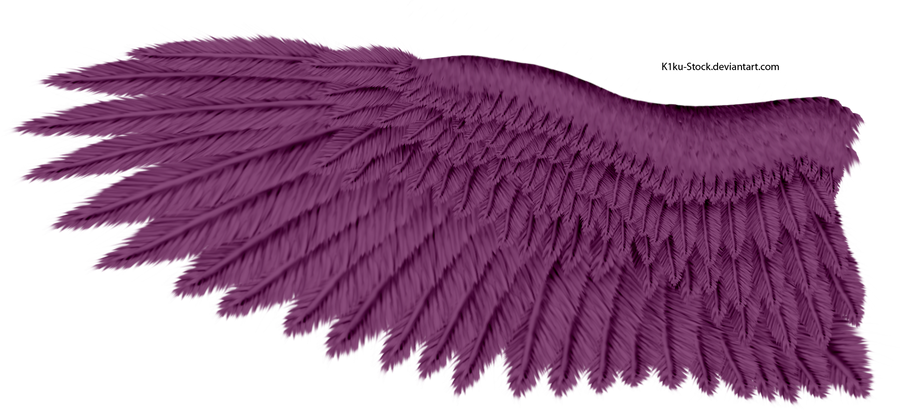 Violet Eagle Wing
