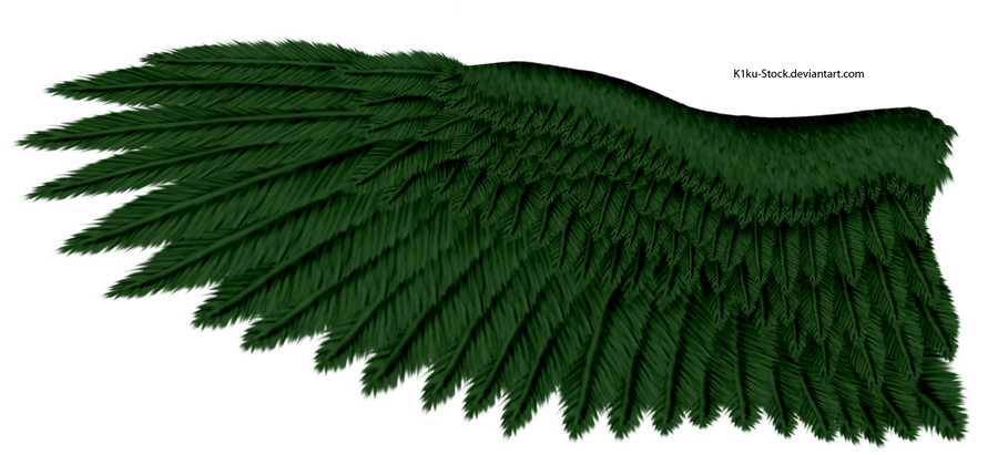 Green Eagle Wing