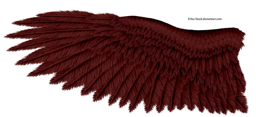 Red Eagle Wing