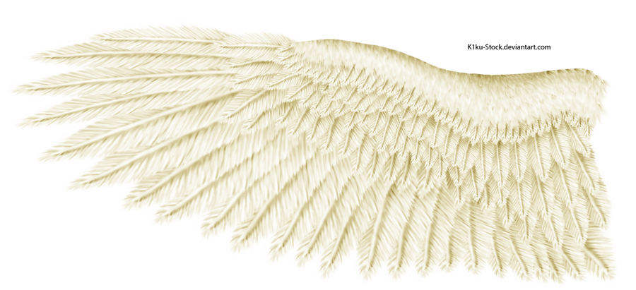 Cream Eagle Wing